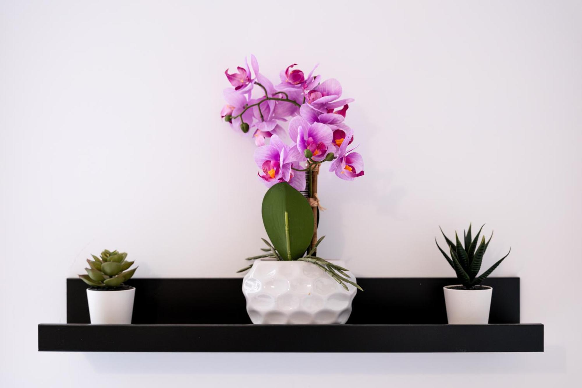 Soho Downtown Apartment Budapeşte Dış mekan fotoğraf
